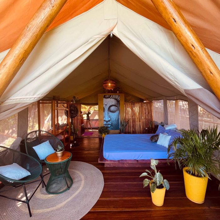 797300b3-d5ce-41f8-bb9c-39e0f09d9d6d