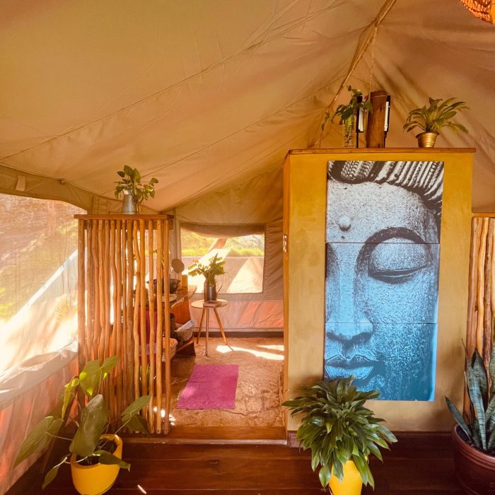 d851622f-fab7-4f64-a215-bbfadcaa5f9c