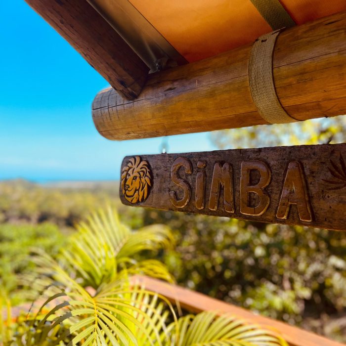 ddbd1bf8-75c4-4154-9631-d8e79a0ca168